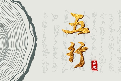 易安居紫薇排盘,排命盘,紫薇星斗数命盘,排紫微斗数命盘
