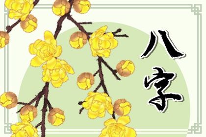 四柱结构：年月日时的分工